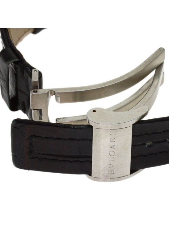 Bvlgari Ergon Watch SS Leather main image 10